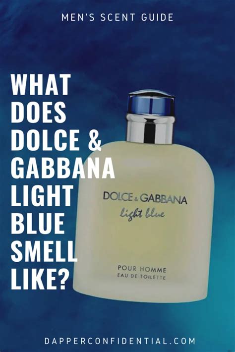 what does dolce gabbana light blue smell like|light blue forever reviews.